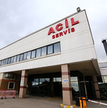 126670486-1676146689