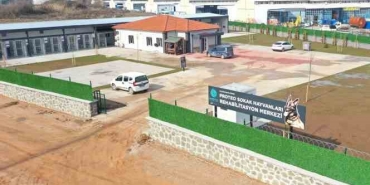 Kahraman köpek Proteo'nun adı Kocaeli'de yaşatılacak