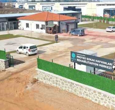 Kahraman köpek Proteo'nun adı Kocaeli'de yaşatılacak