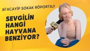 mqdefault (1)