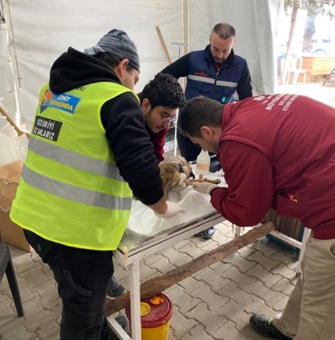 131900410-1679048560