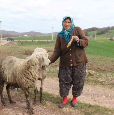 132015409-1679124864