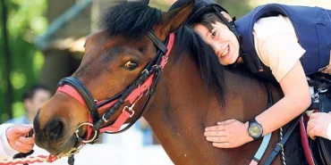 60c912569321510890f8d180