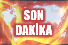 SONdk41