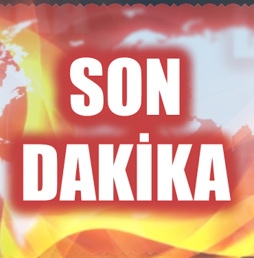 SONdk41