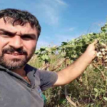 bayram-gunu-abisini-oldurmustu-24-yil-hapse-carptirildi