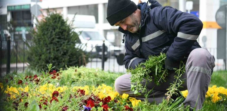 Çayırova ’da bahar hazırlığı