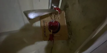 cennete-gonderdim-dedigi-cocuklar-olu-bulunmustu-tatile-giden-babaannelerinin-evinde-oldukleri-ortaya-cikti