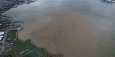 İzmit Körfezi kahverengiye büründü