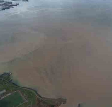 İzmit Körfezi kahverengiye büründü