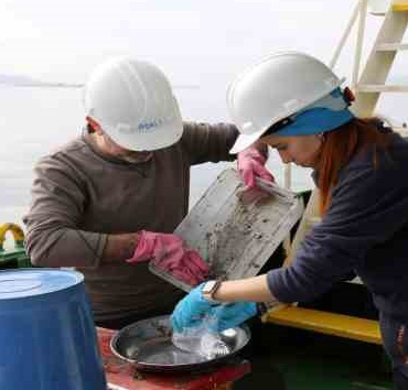 İzmit Körfezi'nde dip çamuru temizliği öncesinde biyoçeşitlilik tespiti