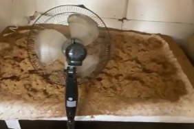 Kocaeli ’de 4 adresi sigara üretim fabrikasına çevirdiler
