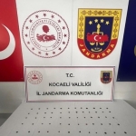 kocaeli-de-roma-donemine-ait-80-sikke-ele-gecirildi