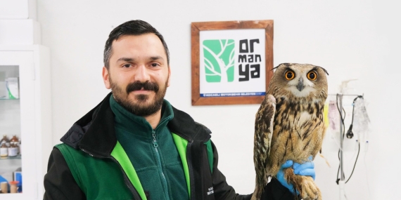 Binlerce yaban hayvanı hayata döndürüldü