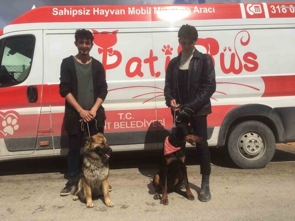 Patibüs ekibi Hatay ’da hayvanların tedavi ve bakımlarını yapıyor