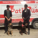 patibus-ekibi-hatay-da-hayvanlarin-tedavi-ve-bakimlarini-yapiyor