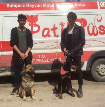 Patibüs ekibi Hatay ’da hayvanların tedavi ve bakımlarını yapıyor