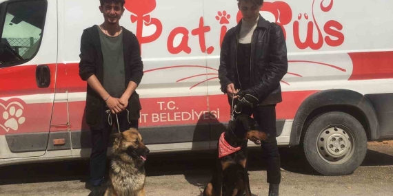 Patibüs ekibi Hatay ’da hayvanların tedavi ve bakımlarını yapıyor