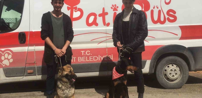 Patibüs ekibi Hatay ’da hayvanların tedavi ve bakımlarını yapıyor