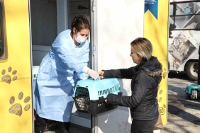 Sokak kedilerine kısırlaştırma karavanı