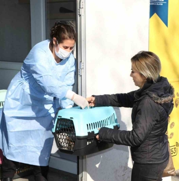 Sokak kedilerine kısırlaştırma karavanı