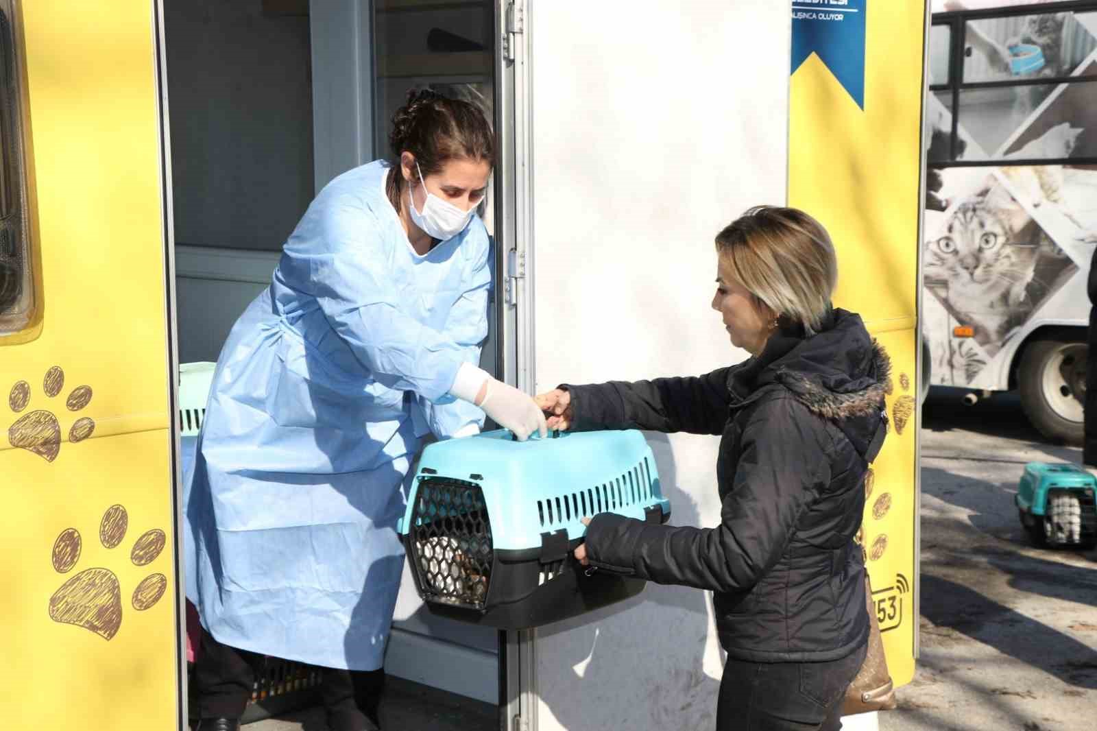 Sokak kedilerine kısırlaştırma karavanı