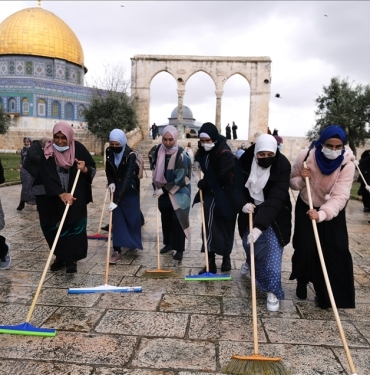 thumbs_b2_3d61f5e55cccbc07c3342f6904cf724c