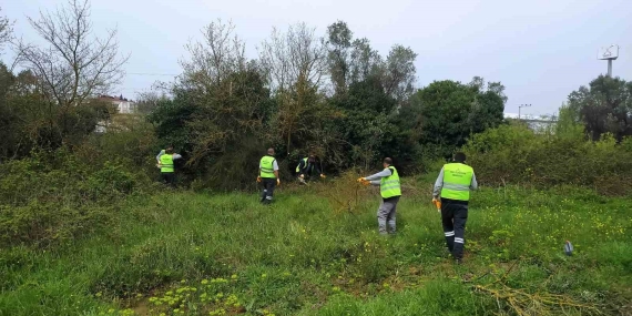 Darıca, daha yeşil bir yaza hazırlanıyor