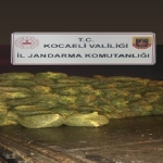 kocaeli-de-10-ton-kacak-midye-ele-gecirildi
