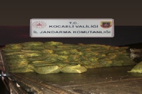 Kocaeli'de 10 ton kaçak midye ele geçirildi