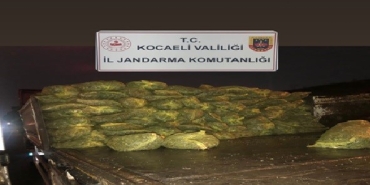 Kocaeli'de 10 ton kaçak midye ele geçirildi