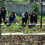 lise-ogrencileri-hem-alin-terinin-ekmegini-yiyor-hem-de-bilincleniyor