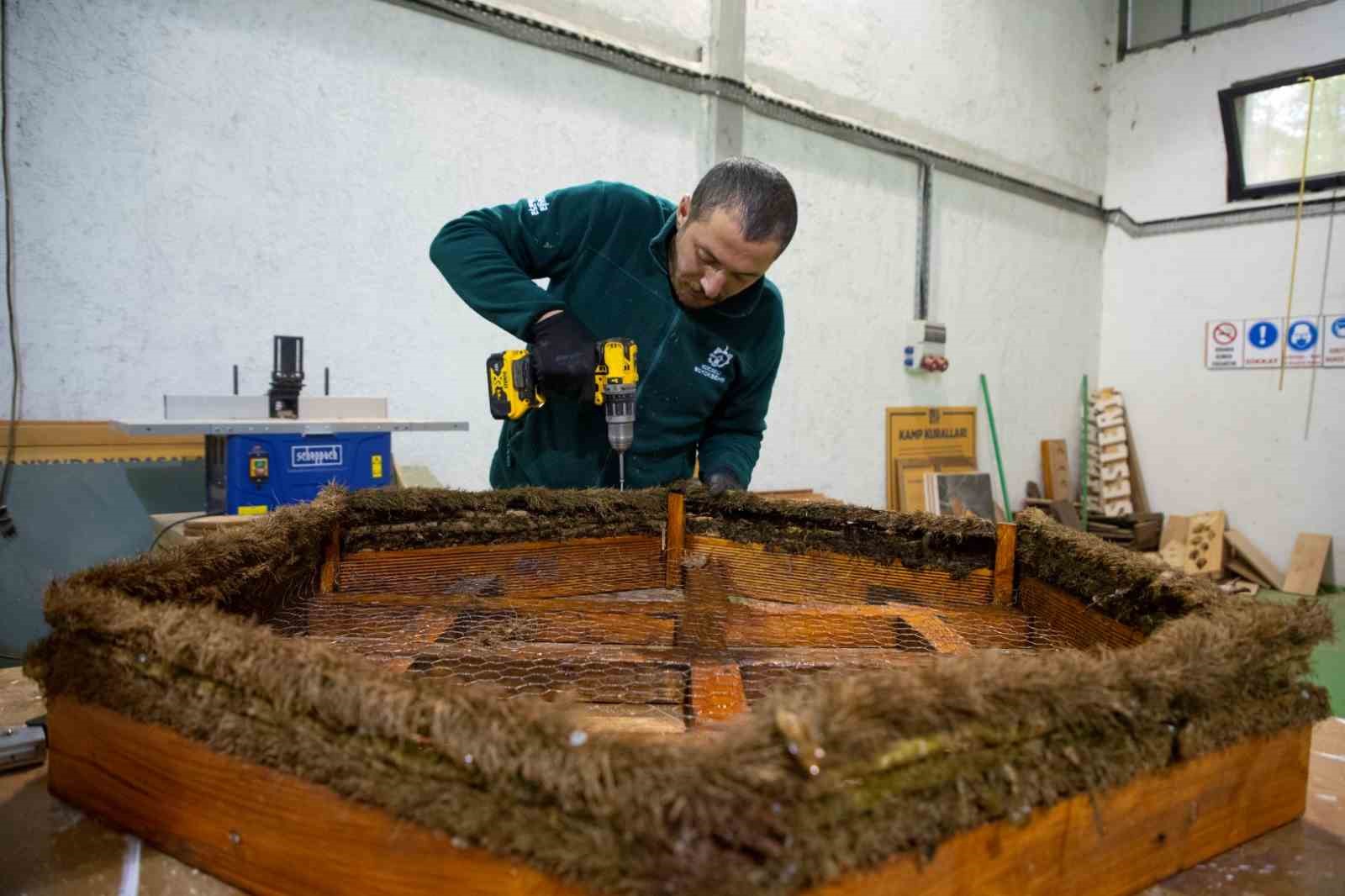 Ormanya ’da engelli leylekler için özel proje