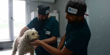 Yeni Proteo ’lar bu bakım evinde yetişecek