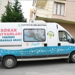 AW889802_02