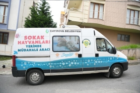 AW889802_02