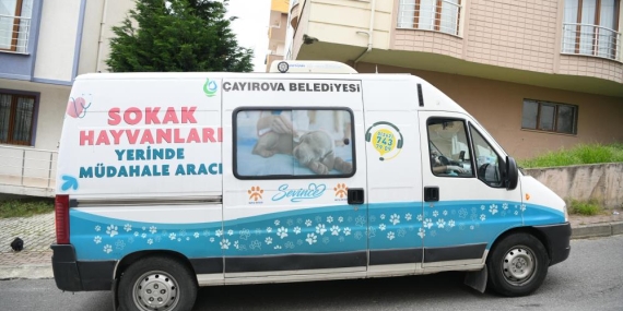 O ilçede artık sokak hayvanlarına yerinde müdahale edilecek