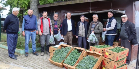 İzmit Belediyesi köylerde fide dağıtımına başladı