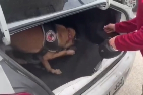 Aracın bagajına gizlenen uyuşturucu böyle bulundu
