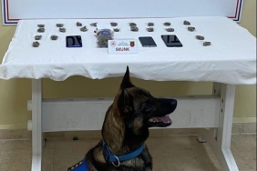 Aracında 100 gram skunk ve 3 cep telefonu ele geçirildi