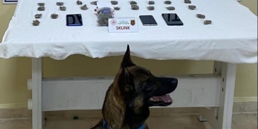 Aracında 100 gram skunk ve 3 cep telefonu ele geçirildi