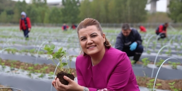 Çilek Köy ’de hasat edilen çilekler Çınar Halk Market ve Gülümse Kafe ’de yerini aldı