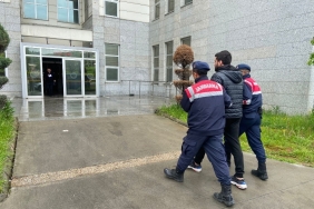 Cinayetten 12 yıl kesinleşmiş hapis cezası bulunan şahıs yakalandı