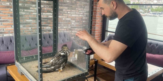 Denizde buldukları yırtıcı kuşu ısıtıp bonfile ile besledikten sonra doğaya bıraktılar