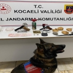 kocaeli-jandarma-dan-uyusturucu-operasyonu