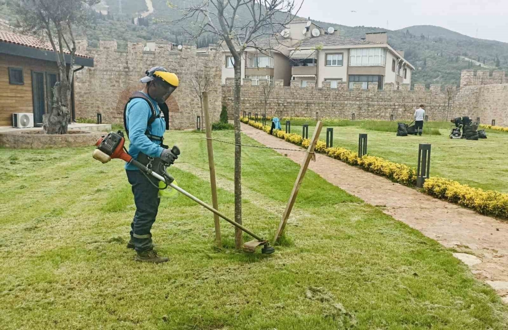 Körfez ’de yabani otlar temizleniyor