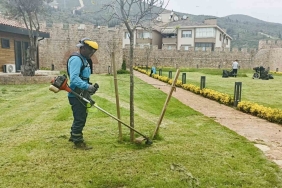 Körfez ’de yabani otlar temizleniyor