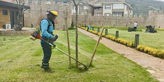 Körfez ’de yabani otlar temizleniyor