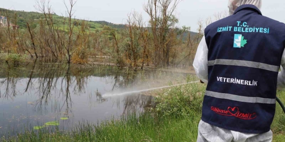 Sıcaklıkların gelmesiyle larva ile mücadele çalışmaları başladı