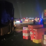 tem-otoyolu-kocaeli-gecisinde-7-aracli-zincirleme-kaza